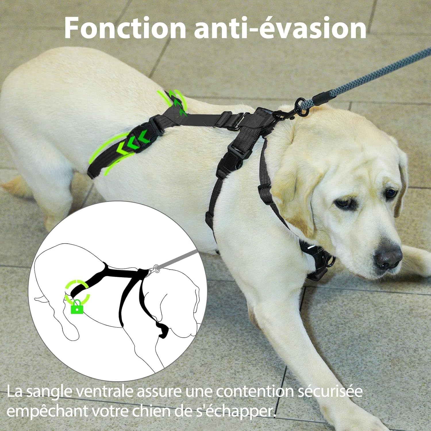 Harnais Anti-Fugue pour Chien, Harnais Anti Traction pour Chien, Réglable, Durable, Respirant, Anti-Étranglement, pour Petits Chiens en Extérieur (Noir,L)