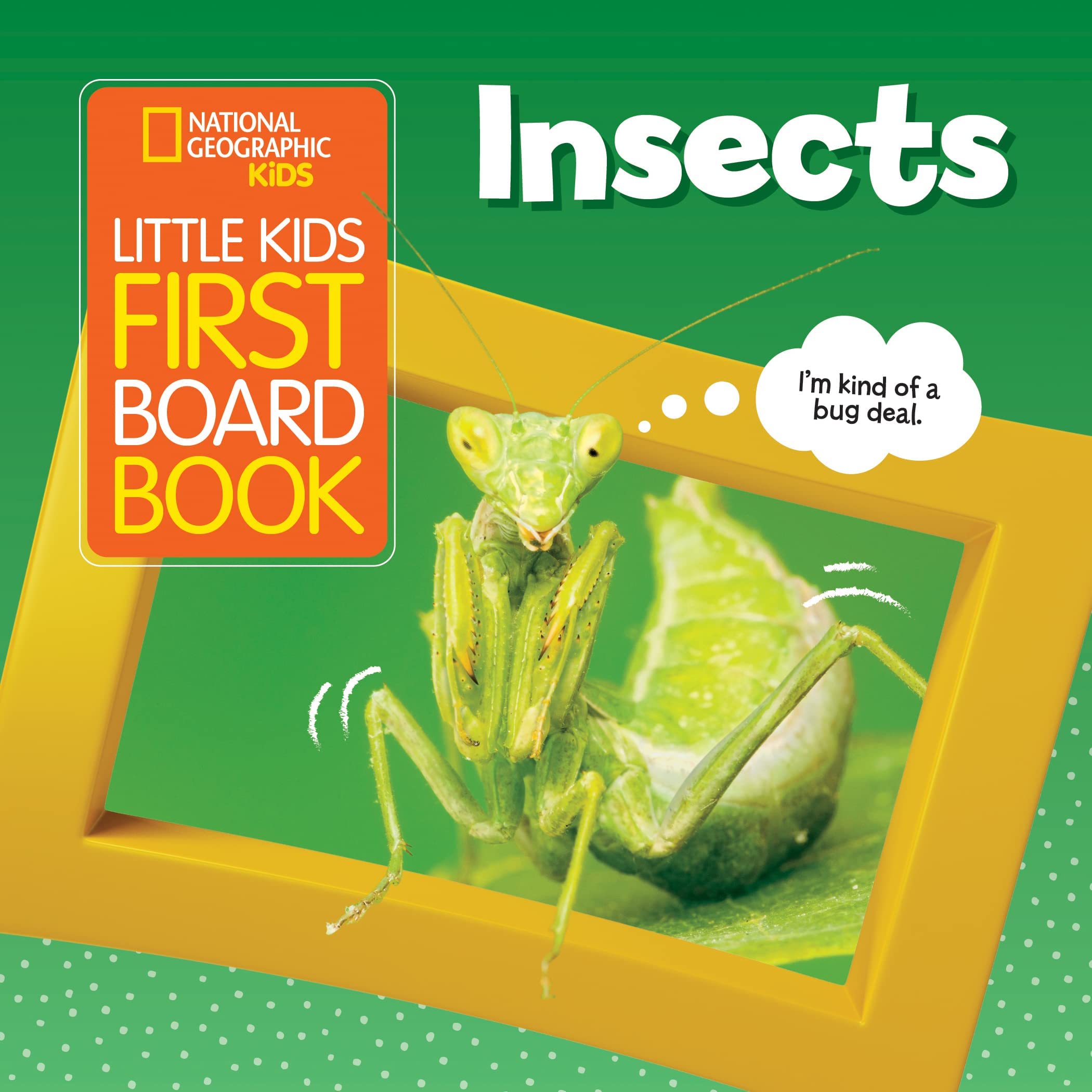 National Geographic Kids Little Kids First Board Book: Insects (First Board Books)