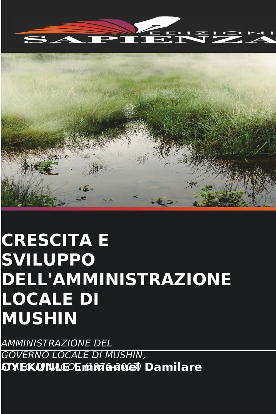 Crescita E Sviluppo Dell'amministrazione Locale Di Mushin: AMMINISTRAZIONE DEL GOVERNO LOCALE DI MUSHIN, STATO DI LAGOS (1976-2003)