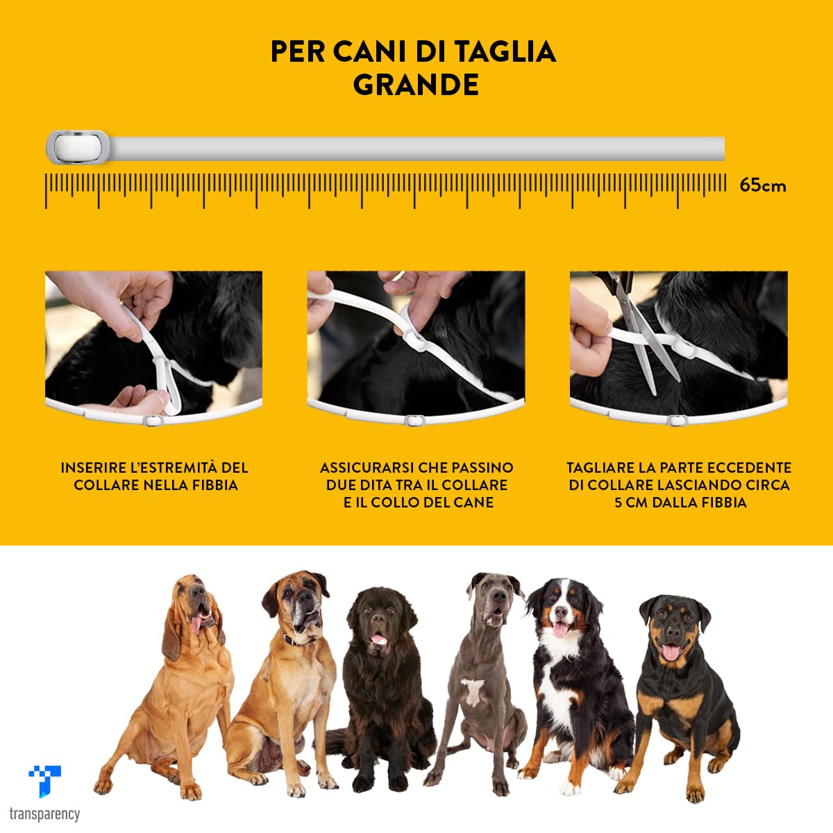 Scalibor Collare, 65 cm - MSD Animal Health