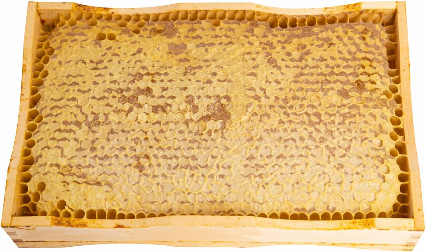 Pure Raw Honeycomb Of WildFlowers Raw Honey, Unprocessed, Limited Quantity - 800g / 26 ounces
