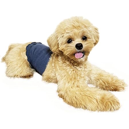 Amazon 日本製 ペット用 シルク腹巻き Xsサイズ アイボリー Panciasoffieシルクはらまき 犬用 猫用 Panfree ドレス ワンピース 通販 Amazon 日本製 ペット用 シルク腹巻き Xsサイズ アイボリー Panciasoffieシルクはらまき 犬用 猫用 Panfree ドレス ワンピース 通販
