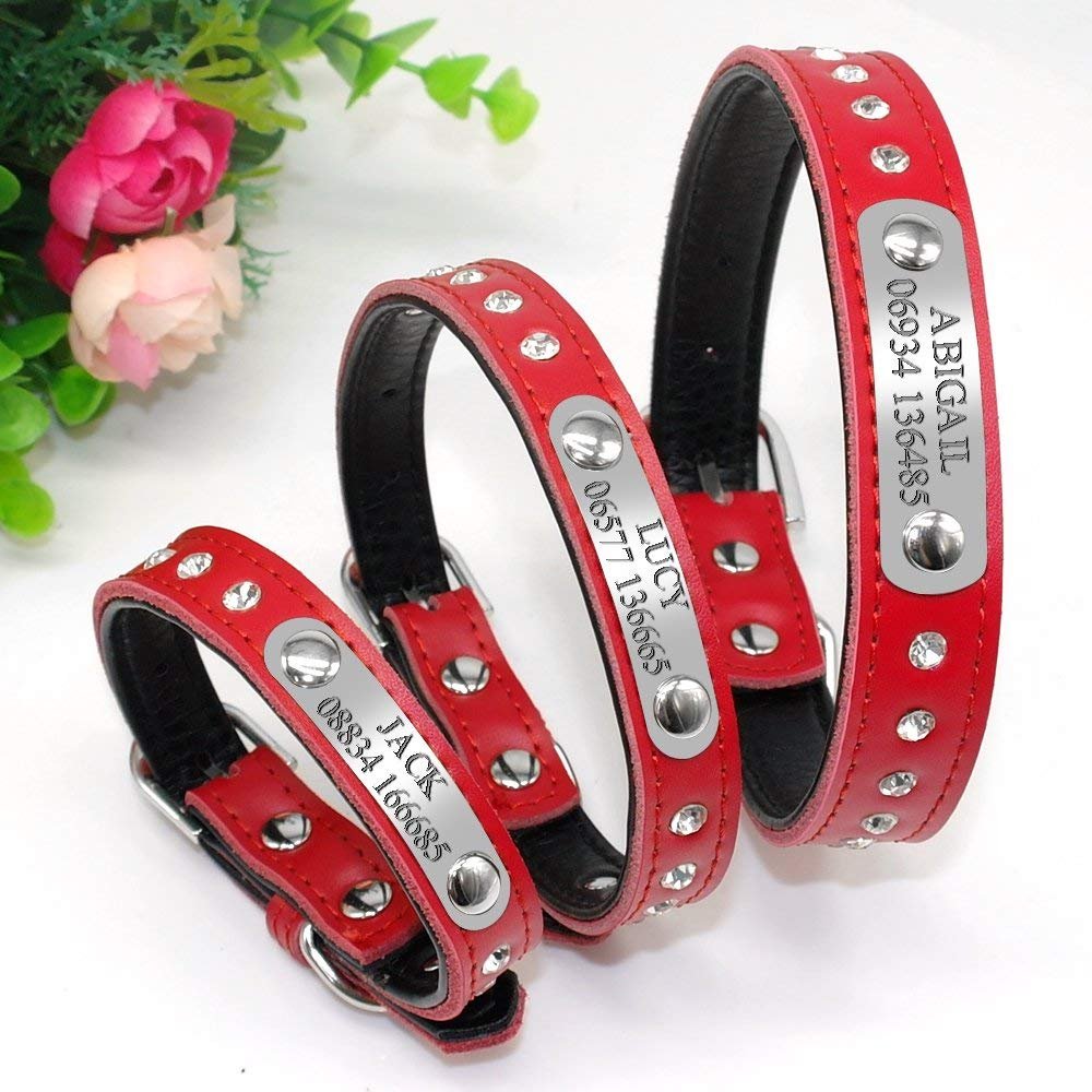 Didog Glitzerndes Hundehalsband Mit Namensschild – Personalisiert, Leder, Größe S, Rot
