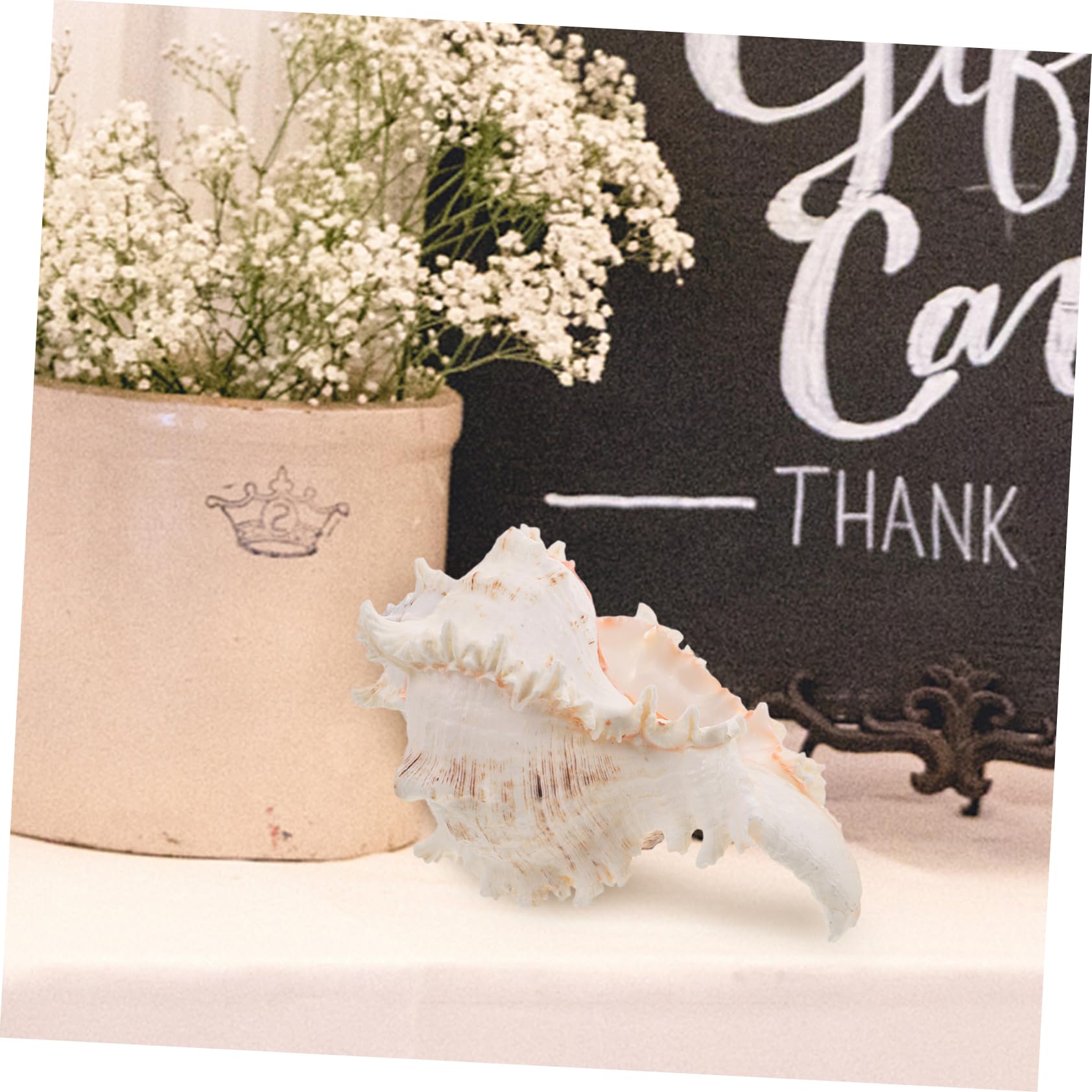 ABOOFAN Conchiglie Naturali Beige in Conch per Decorazioni Versatili da Vase Filler, Perfette per Centrotavola Matrimonio a Tema Spiaggia e Arredamento