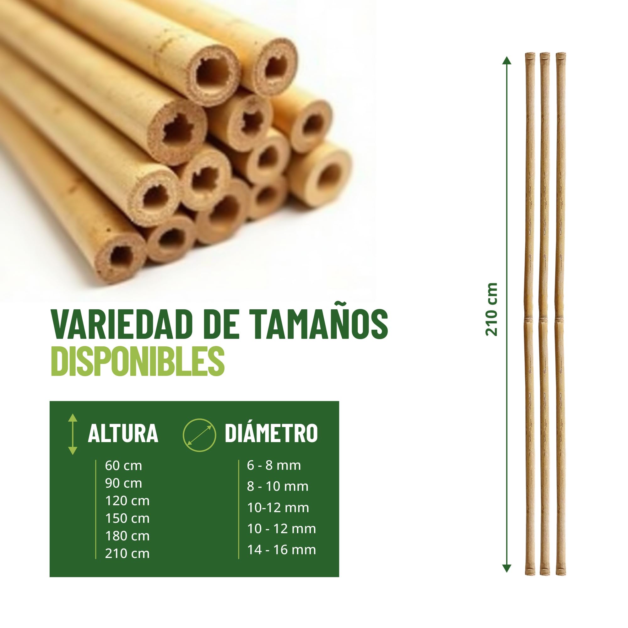 Control Garden Pack 30 pieces Organic bamboo tutor 210 cm | Natural reed post for plant attachment ø 10-12 | trees, vegetables, climbing plants and crops