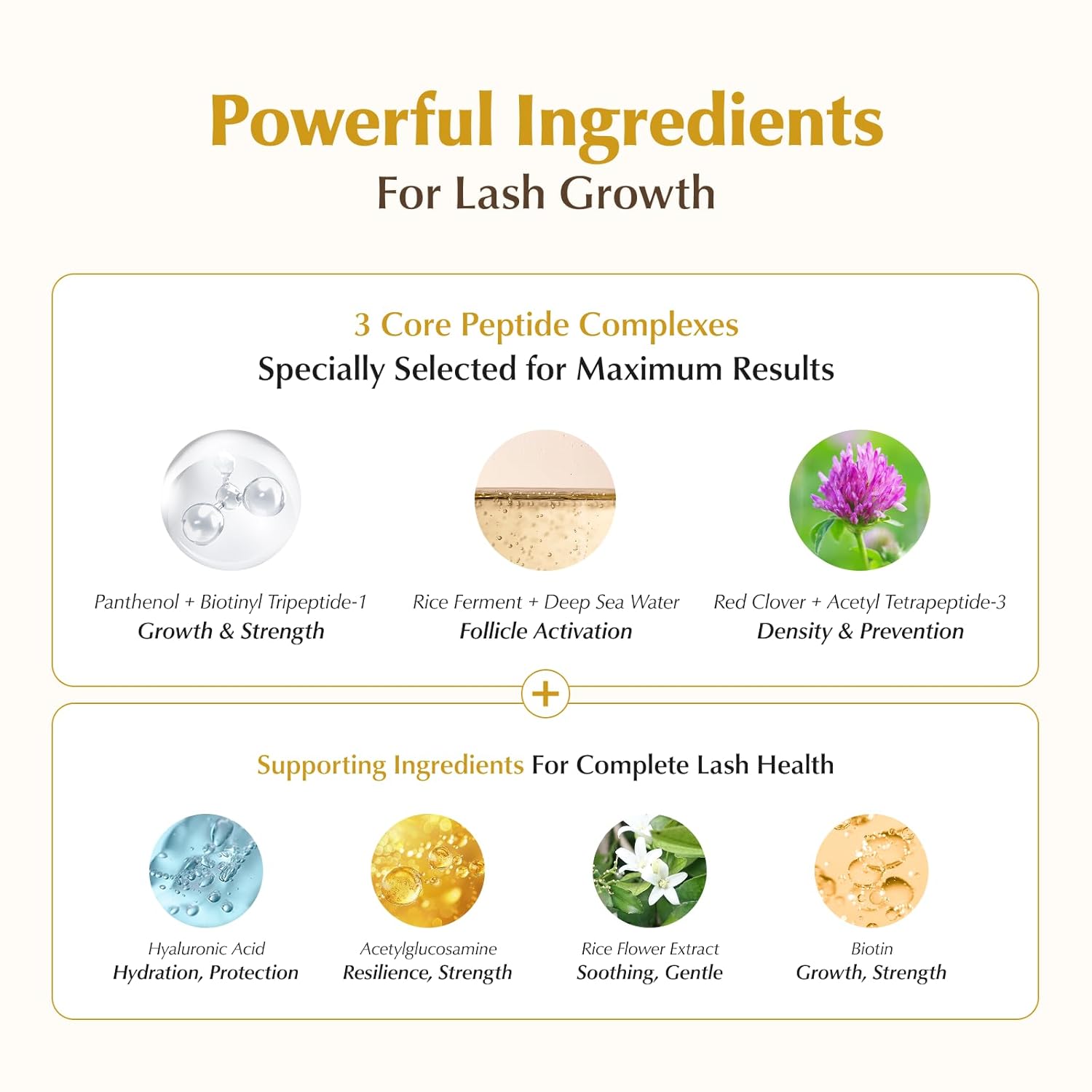 BL Lashes Elixir | 3-in-1 Eyelash Growth Serum with Peptide Complex & Biotin for Longer Fuller Thicker Lashes | Lash Growth Enhancer for Women(0.32 fl oz)