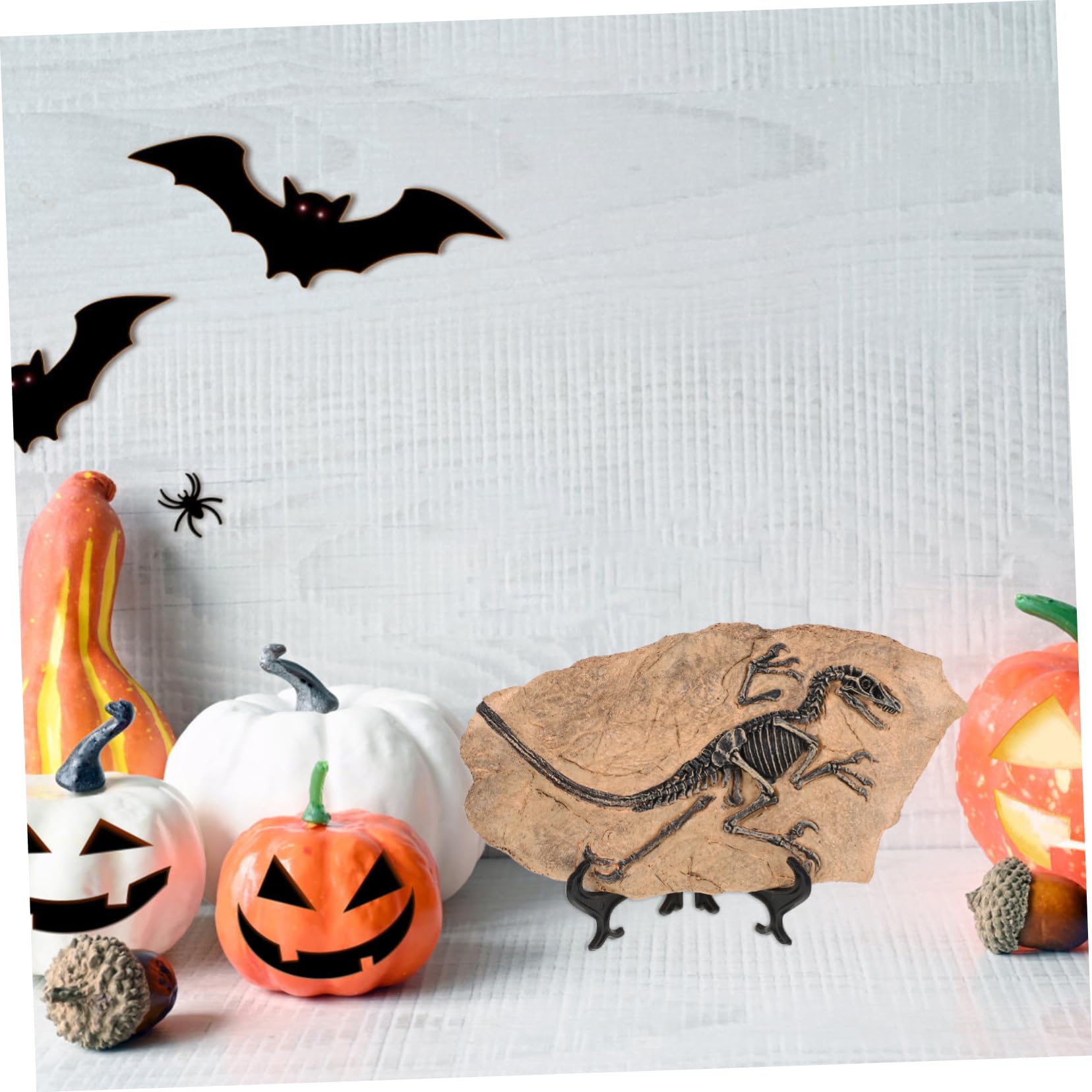 Set di 1 Modello di Fossile di Dinosauro in Resina Superficie Liscia, Decorazione Educativa per Compleanni e Regalo per Ragazzo Ragazza