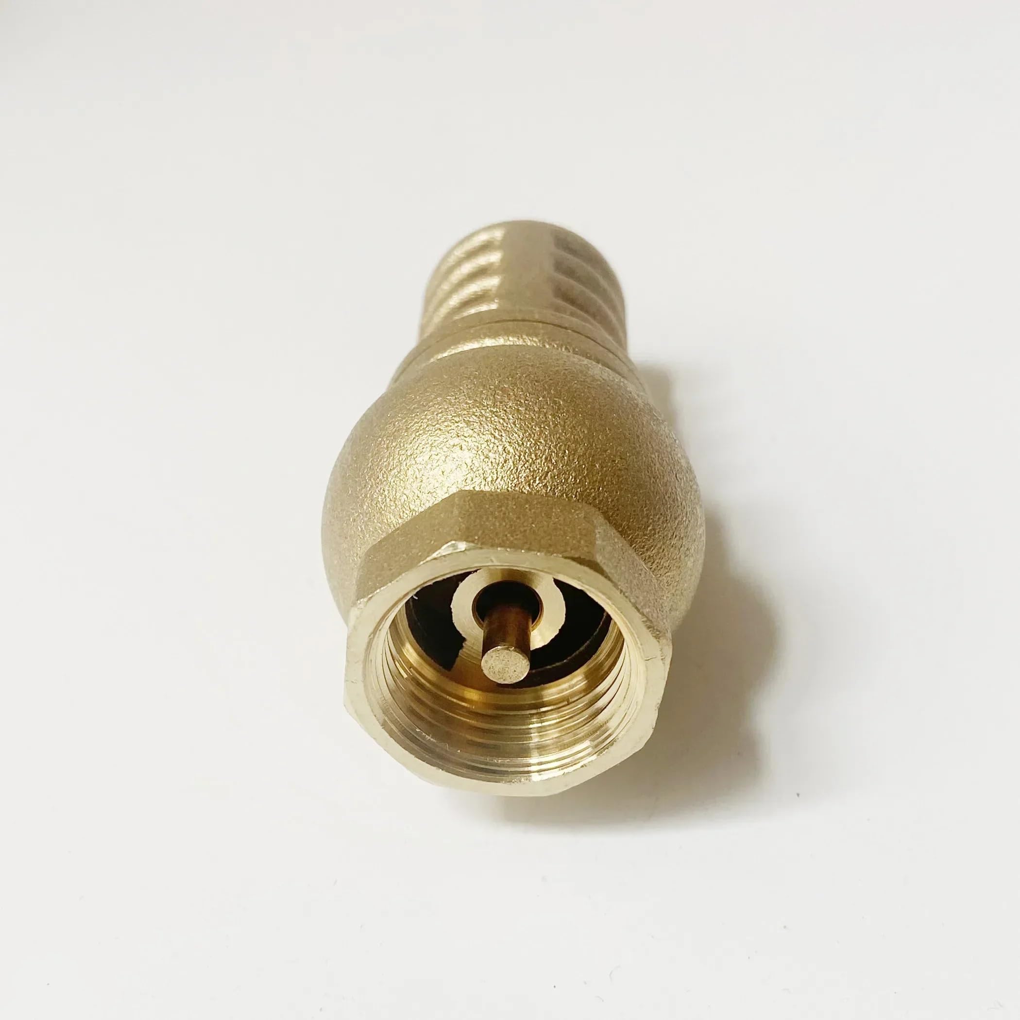 Valvola di ritegno in ottone con filettatura femmina BSP da 1-1/4" e filtro di fondo della pompa dell'acqua