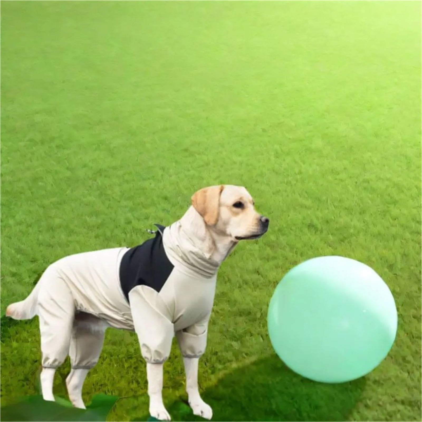 Dog Rain Overalls Reflective Raincoat Waterproof Adjustable Pet Breathable Clothes Rainy Weather(Black,5XL)