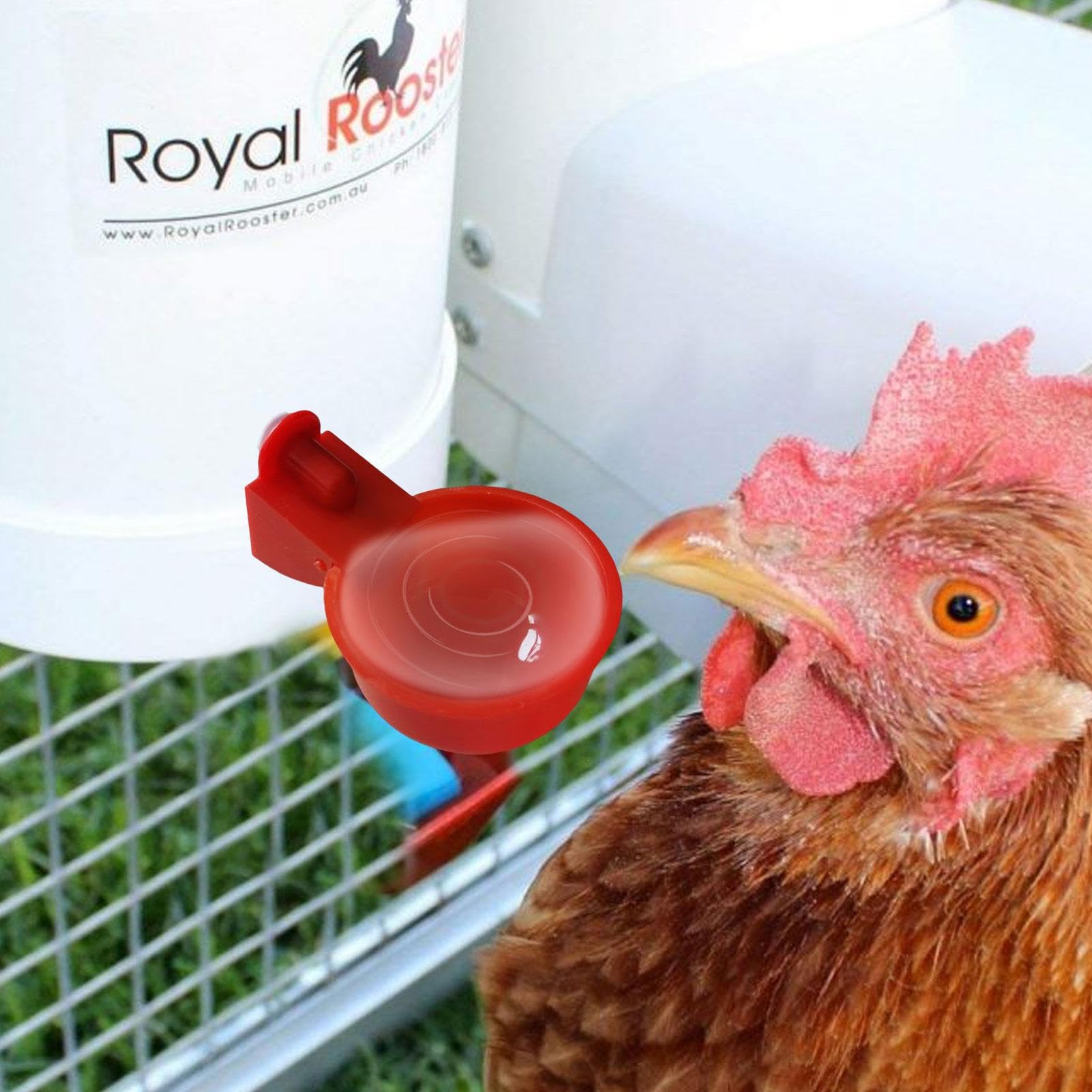 5 piezas tazas bebedoras de pollo - kit de alimentación acuática automática | sin herramientas Instale tazones de beber para pollo, patos, pájaros, pavos y más — view 6