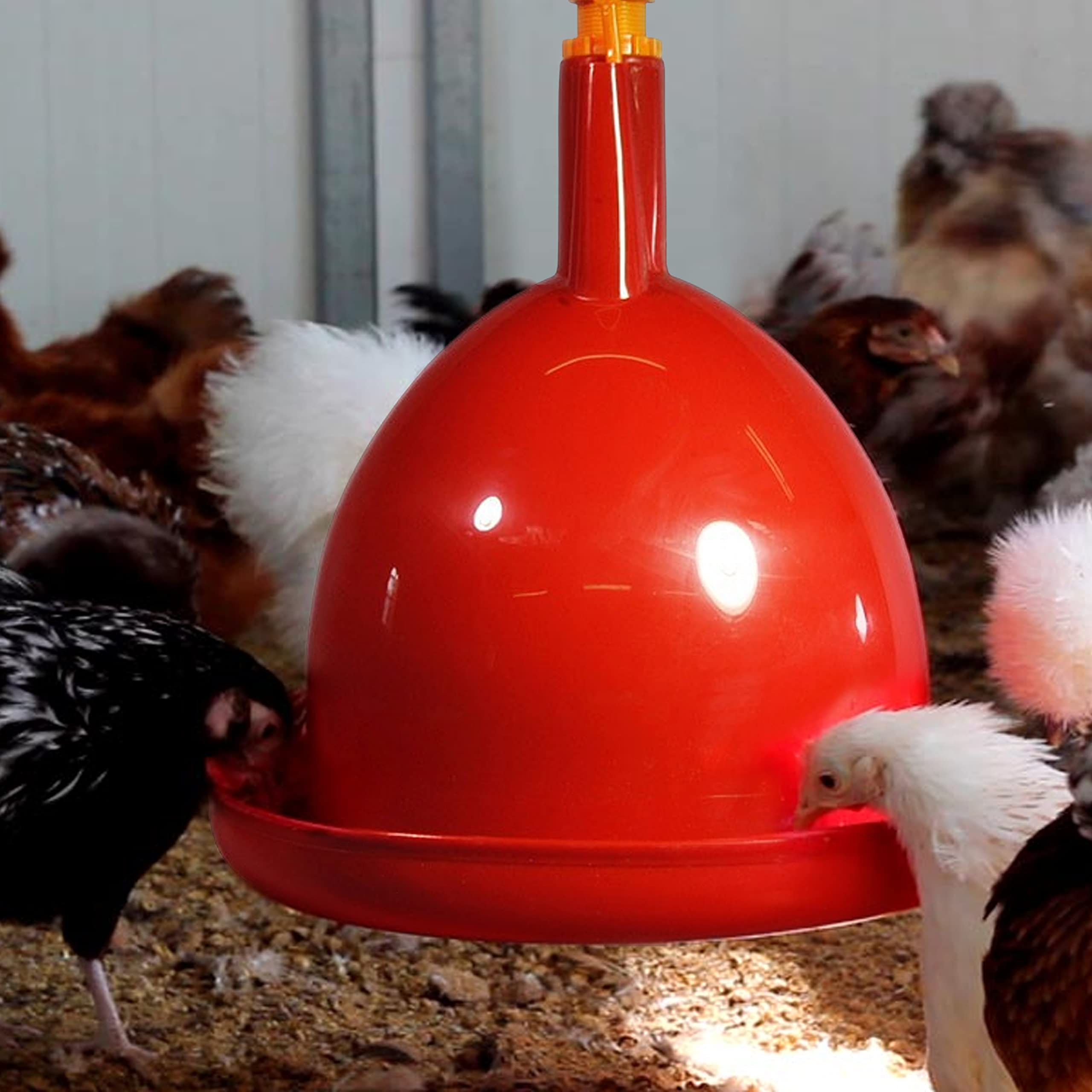 FINCA CASAREJO Bebedero Automático para Aves de Corral - Bebedero de Campana para Gallinas - Agua Siempre Limpia - Puede conectarse a un depósito o a una Red de bebederos