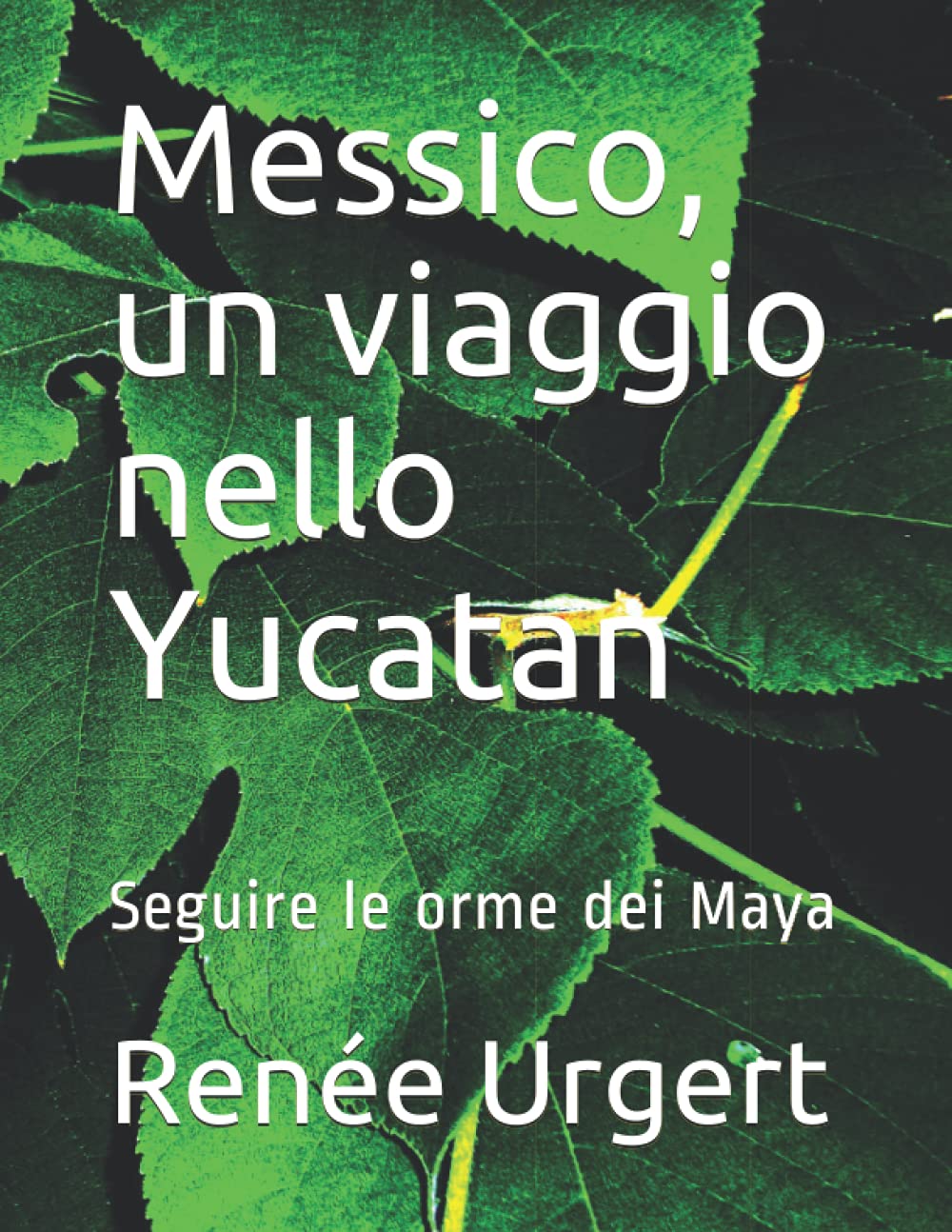 Messico, un viaggio nello Yucatan: Seguire le orme dei Maya