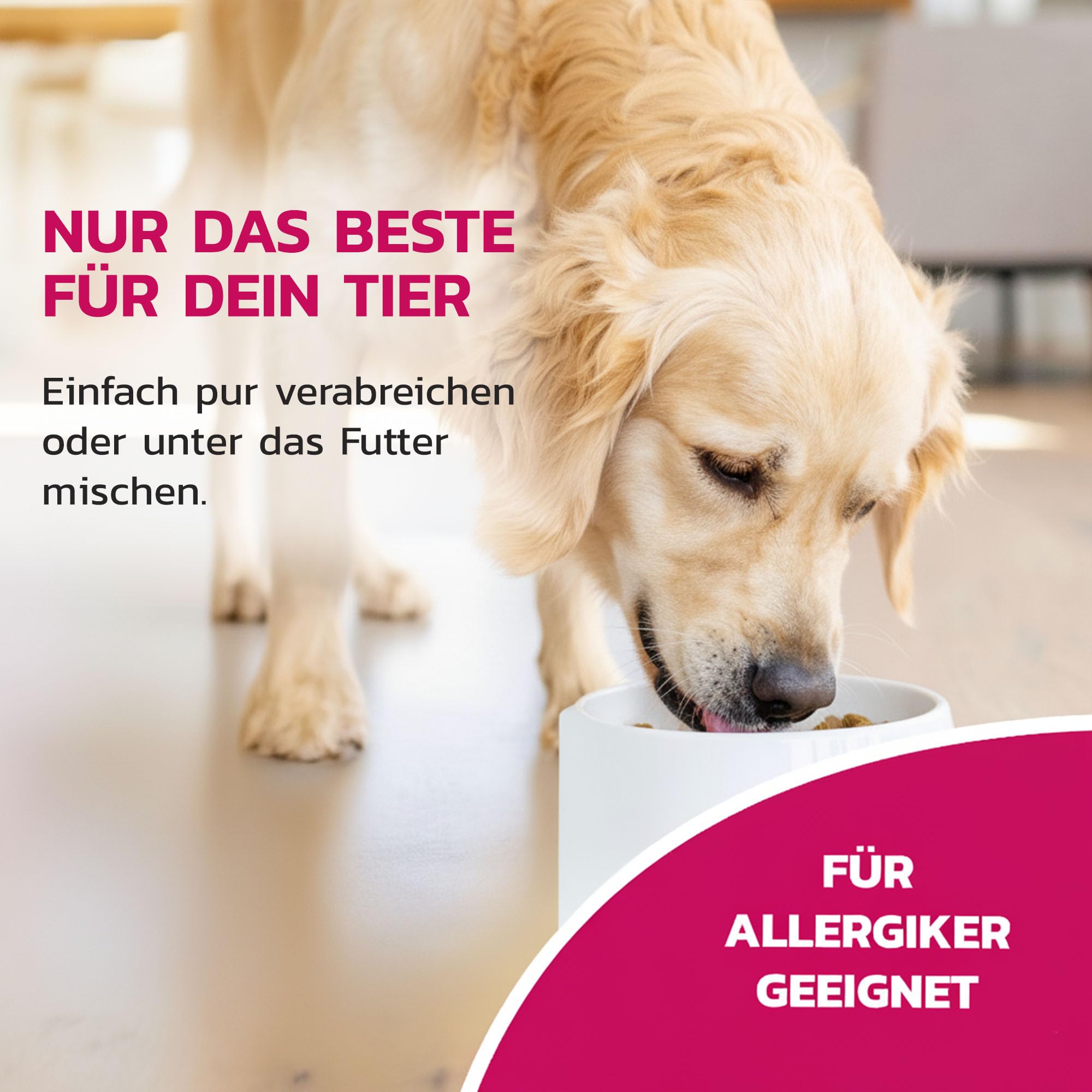 Liquidocare Appetitanreger Hund 180 ml – Hochkalorisches Tonikum mit Vitaminen & Mineralstoffen – für schlecht fressende, untergewichtige Hunde – schmackhaftes Ergänzungsfuttermittel