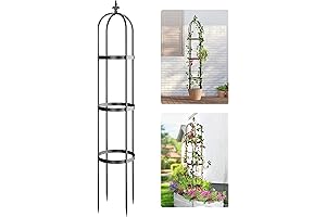 Idzo 100% Metal Obelisk Trellis for Climbing Plants Outdoor 6ft - 72in