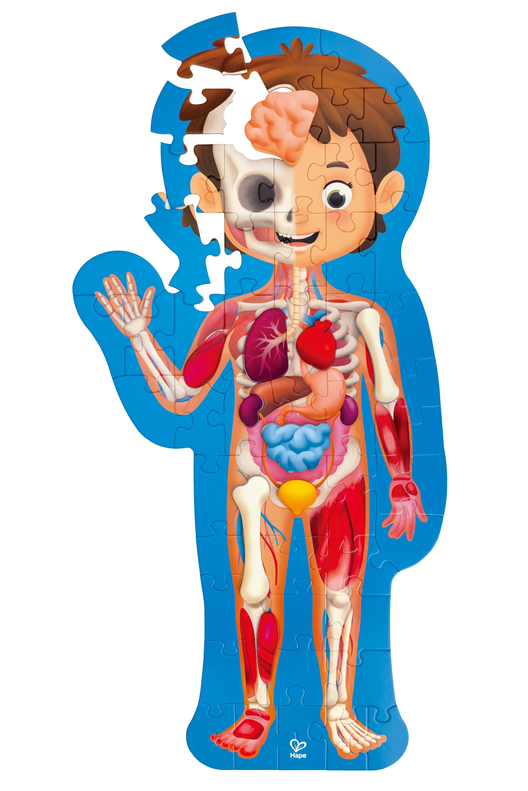 Hape Human Body Puzzle | Anatomy Jigsaw Puzzle with 10 Wooden Parts and Fact-Filled Poster | Educational Puzzle for Kids Aged 4 and Up