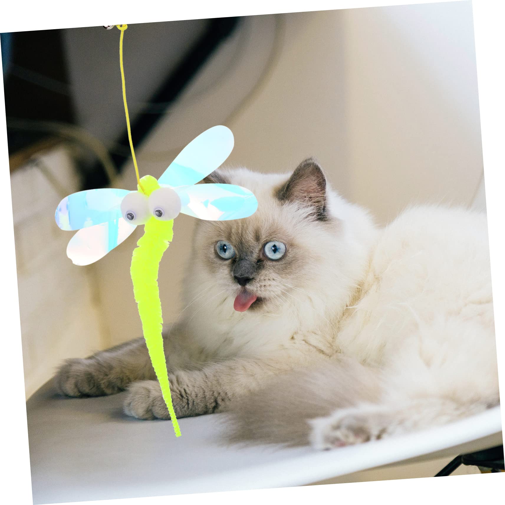 Mipcase 10stücke Einstellbare Hängende Katzenspielzeuge Mit Cartoon-Design Interaktive Spielzeuge Für Katzen Für Indoor-Spiel Und Unterhaltung