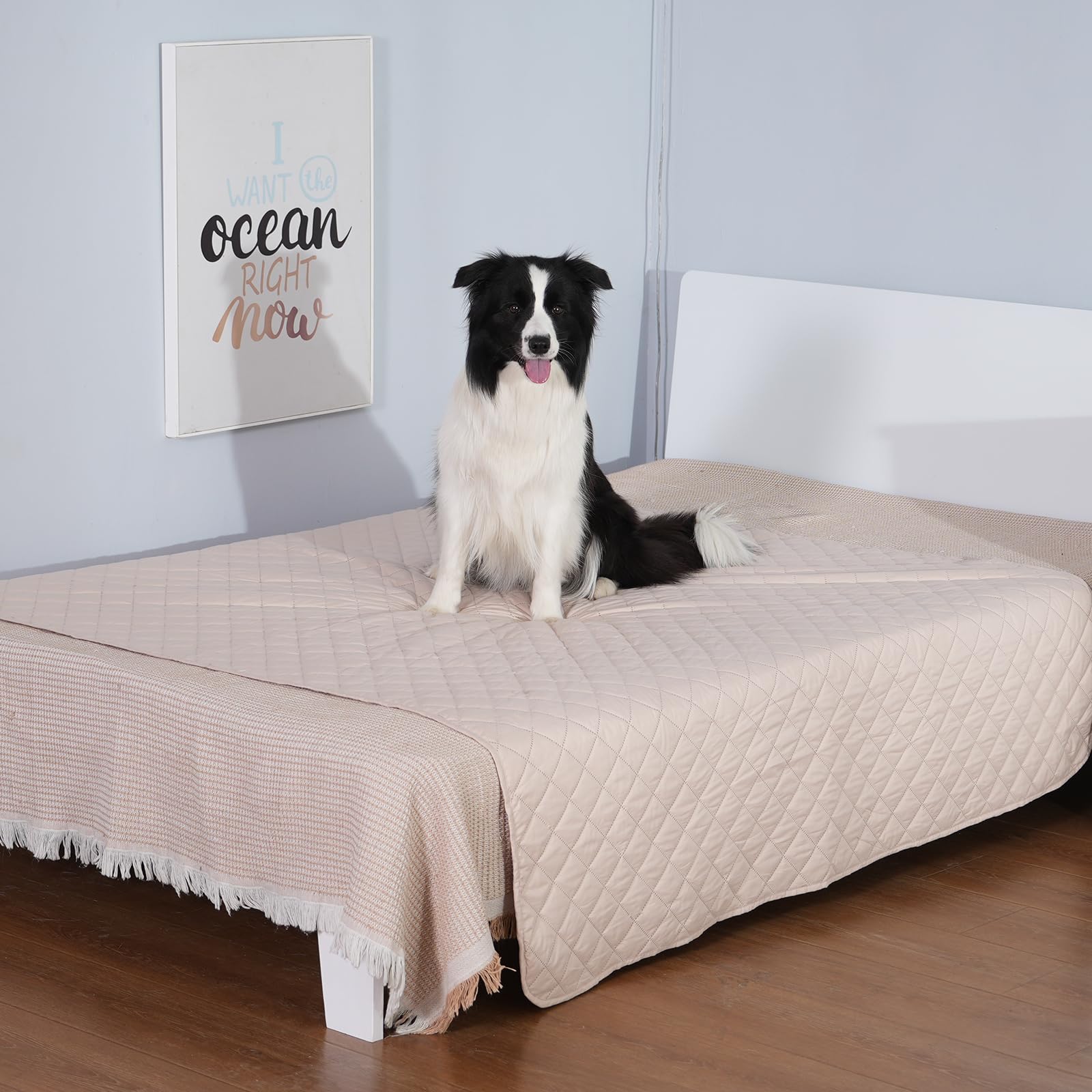 Coperta Impermeabile HezzLuv Per Cani 203x229cm - Antiscivolo E Lavabile | Protezione Divani E Letti - Foto 8