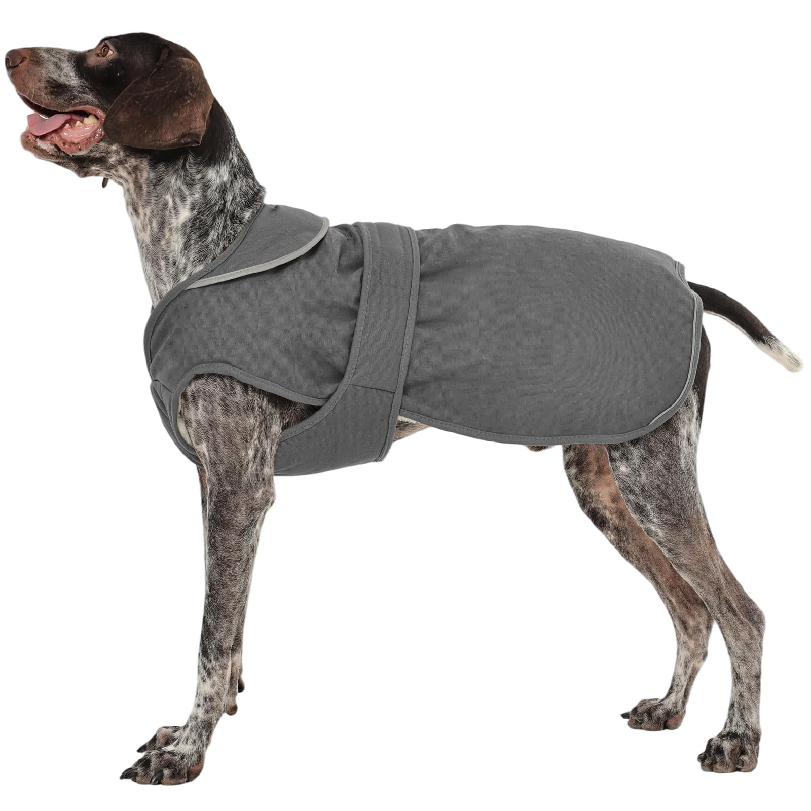 Kuoser Manteau d'hiver pour chien, veste polaire réfléchissante, imperméable et coupe-vent, XS-3XL