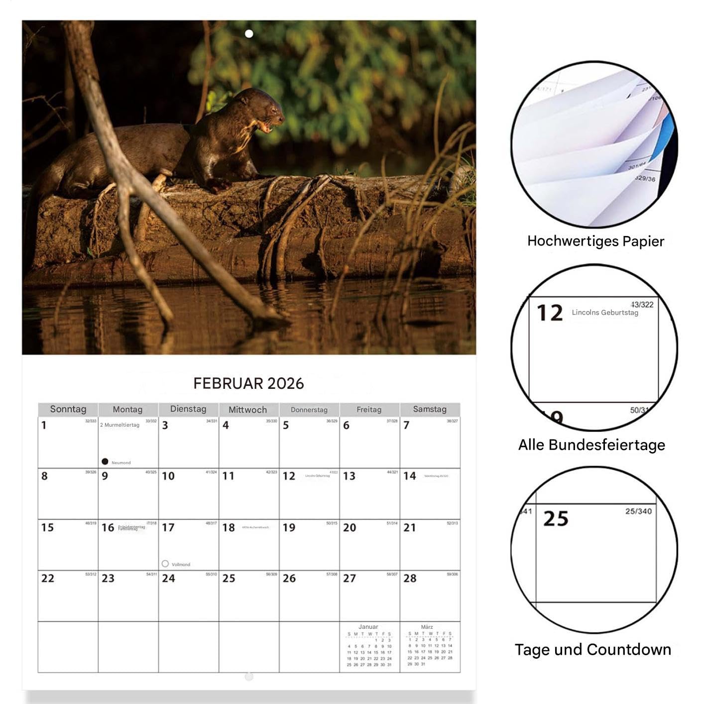 12 Monate Wandkalender,Englischer Terminplaner - 12 Monate Kalender für | die Wandmontage,Für Klassenzimmer Wohnzimmer Studentenzimmer Arbeitszimmer Schüler Lehrer