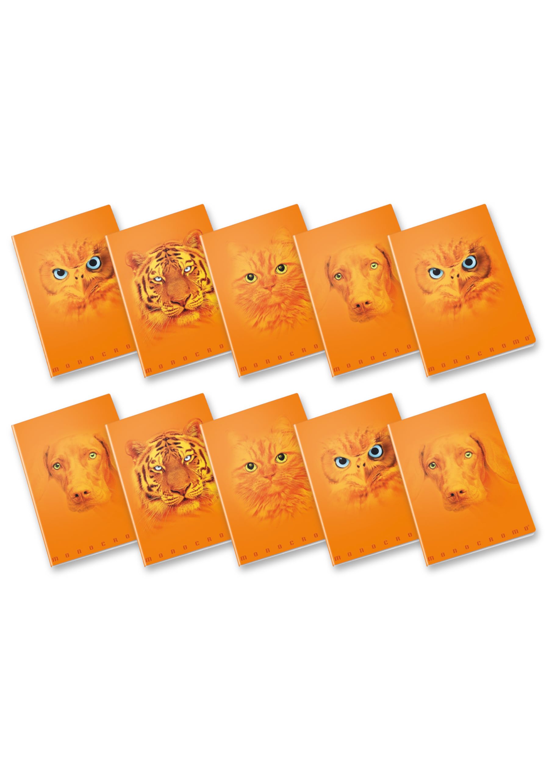Pigna, Maxi Notebook Monochrome Orange, A4, Inner Paper 100 g/m², 72 Pages + Flap 5 M Inside, 5 mm Squares, Assorted Subjects, Pack of 10
