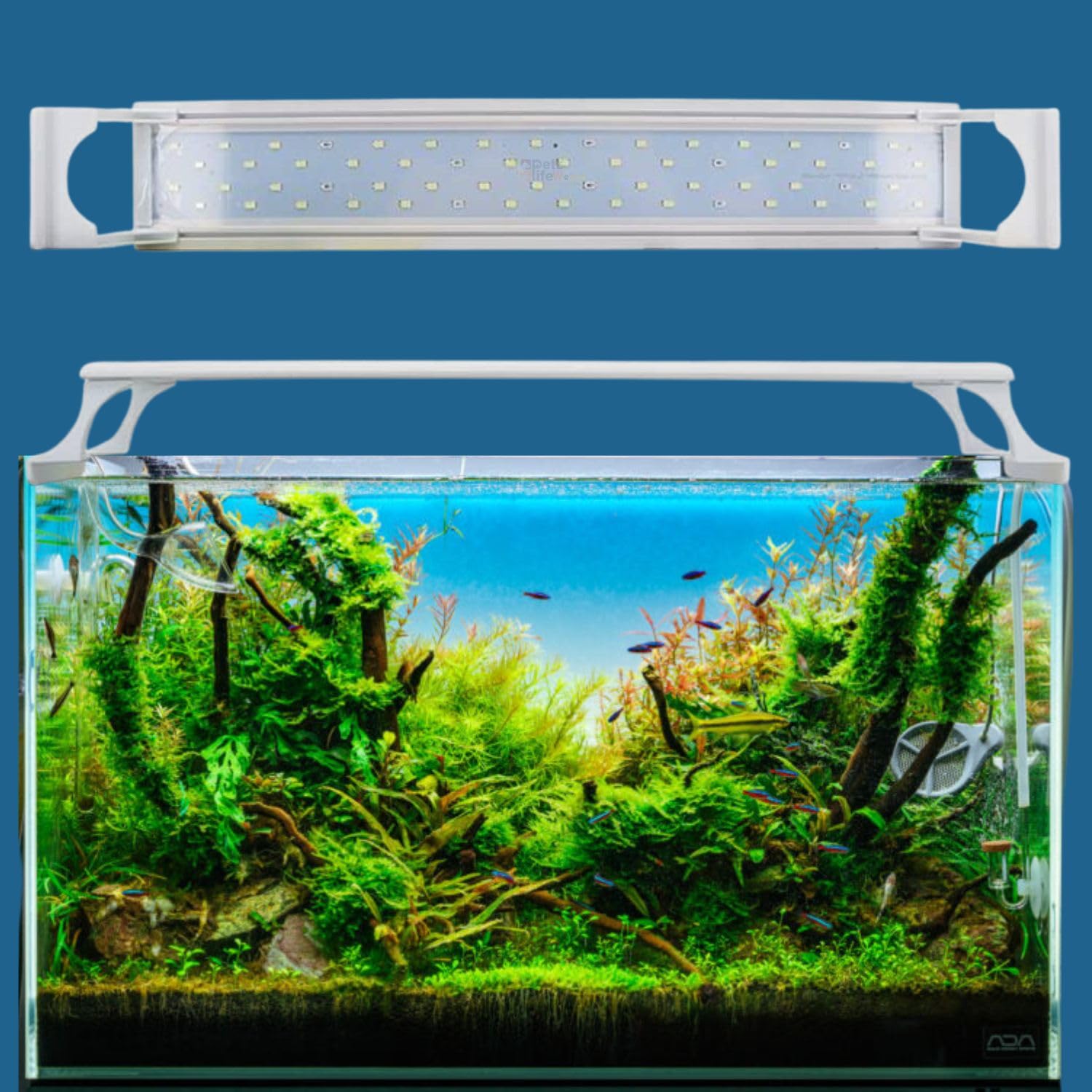 VAYINATO (H600 | 36 W | Suitable for 55-60cm Aquarium Clip On Top WRGB LED Light for Plant Growth and Colourful Fish (B09H93YH4B) Amazon Price History, Amazon Price Tracker
