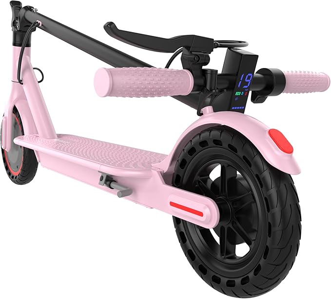Roinside Electric Scooter: Durable and Convenient for Urban Commutes