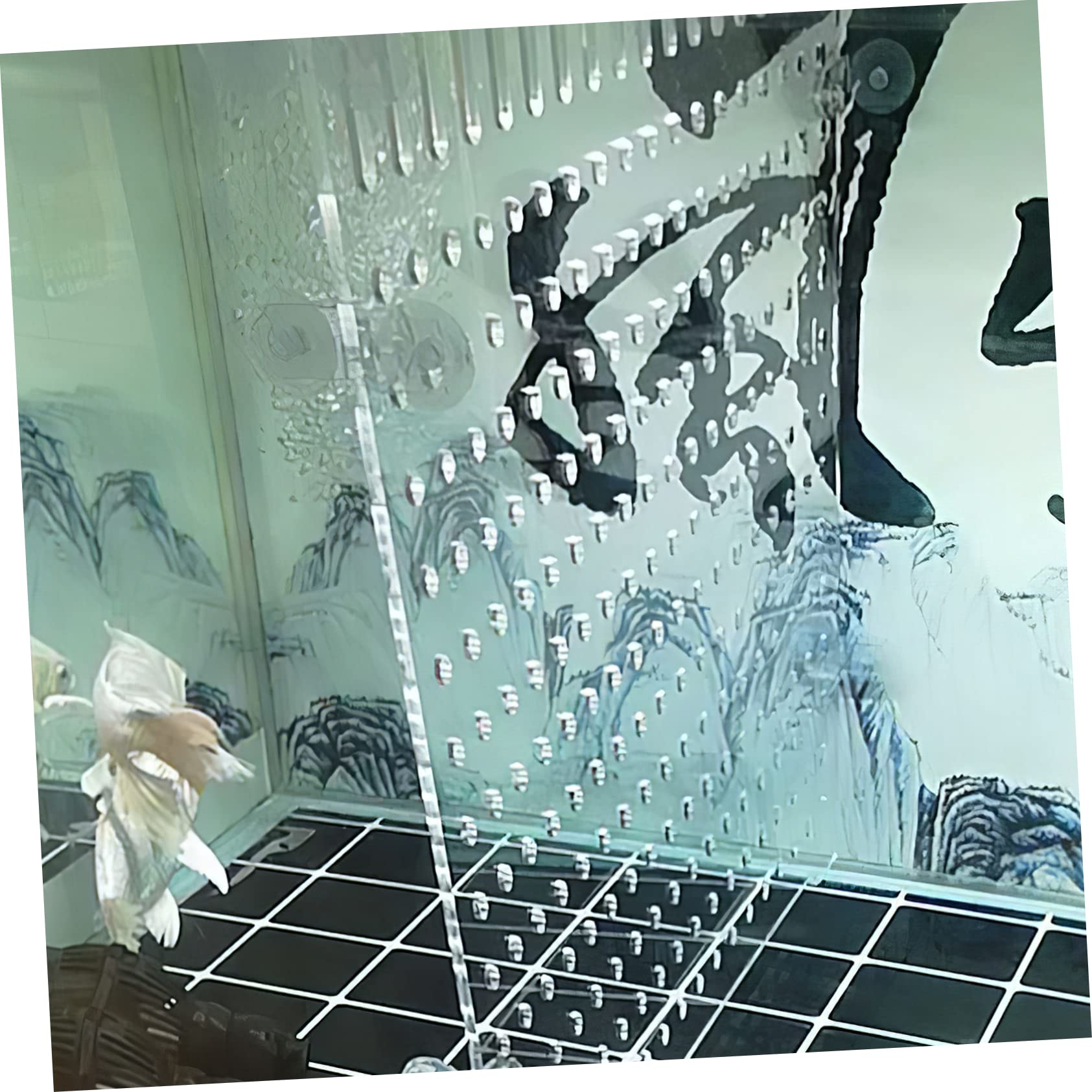 Amazon | 水槽 板 水槽セット 45cm 仕切り板 アクリル アクリル水 