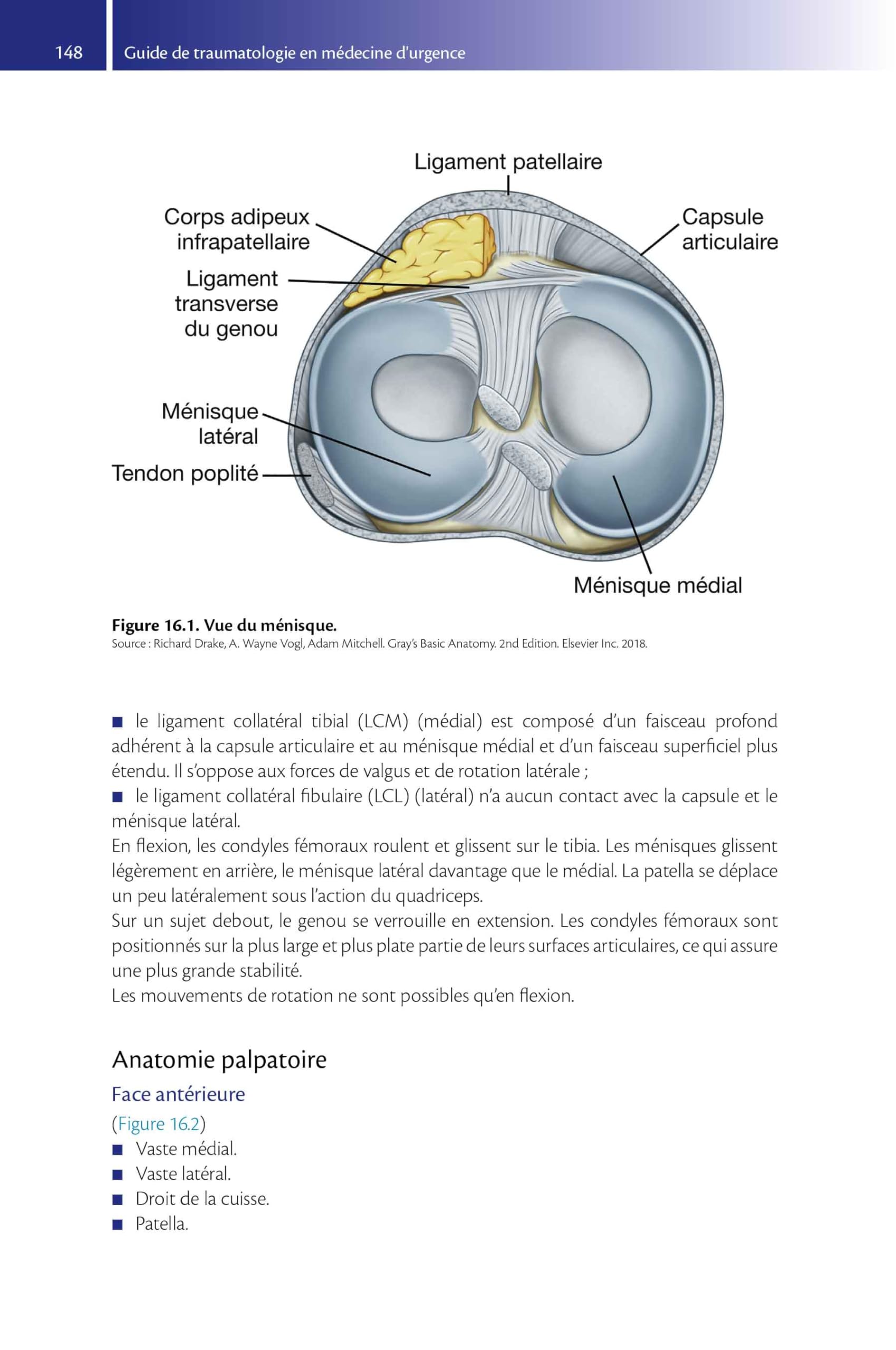 Guide de traumatologie en médecine d'urgence