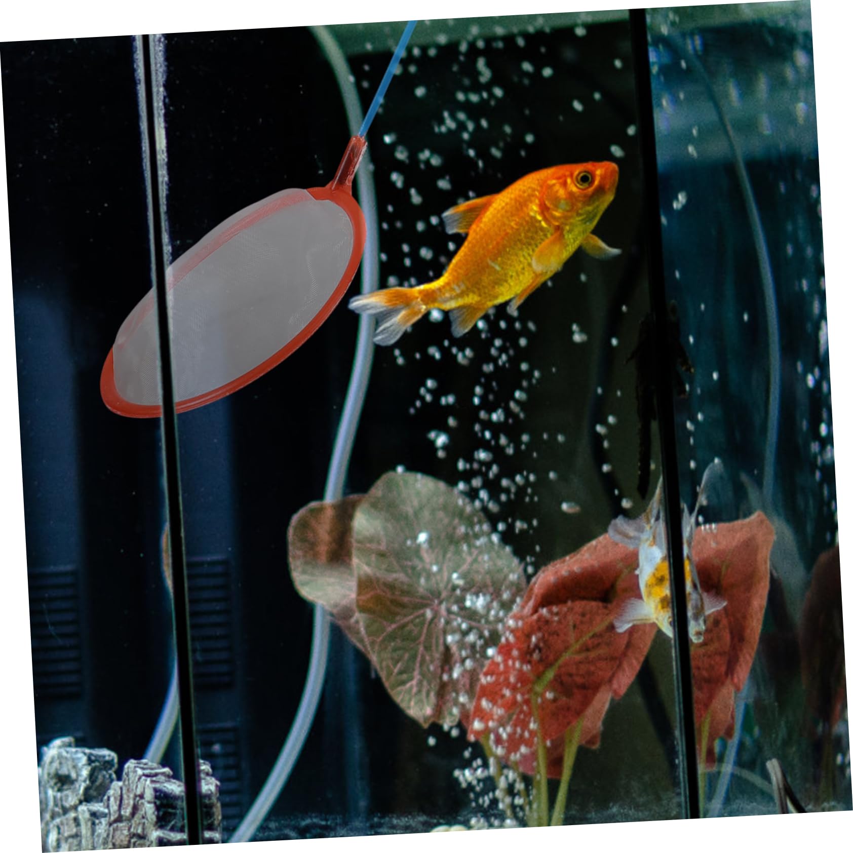 Toddmomy Red De Pesca De Peces De Colores Red De Camarones En Salmuera para Peces De Recolección De Peces Suministros De Pesca Captura De Acero Inoxidable