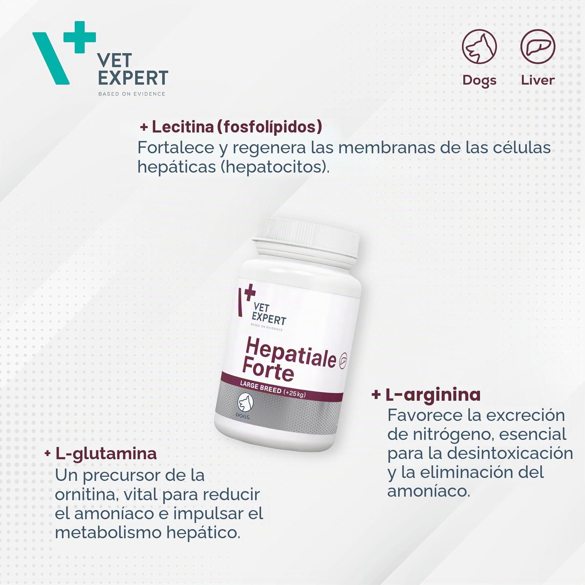 Alimento complementario para razas grandes de perros | 40 pastillas | Apoyo a la función hepática | Más de 25 kg de peso corporal | Vet Expert Hepatiale Forte