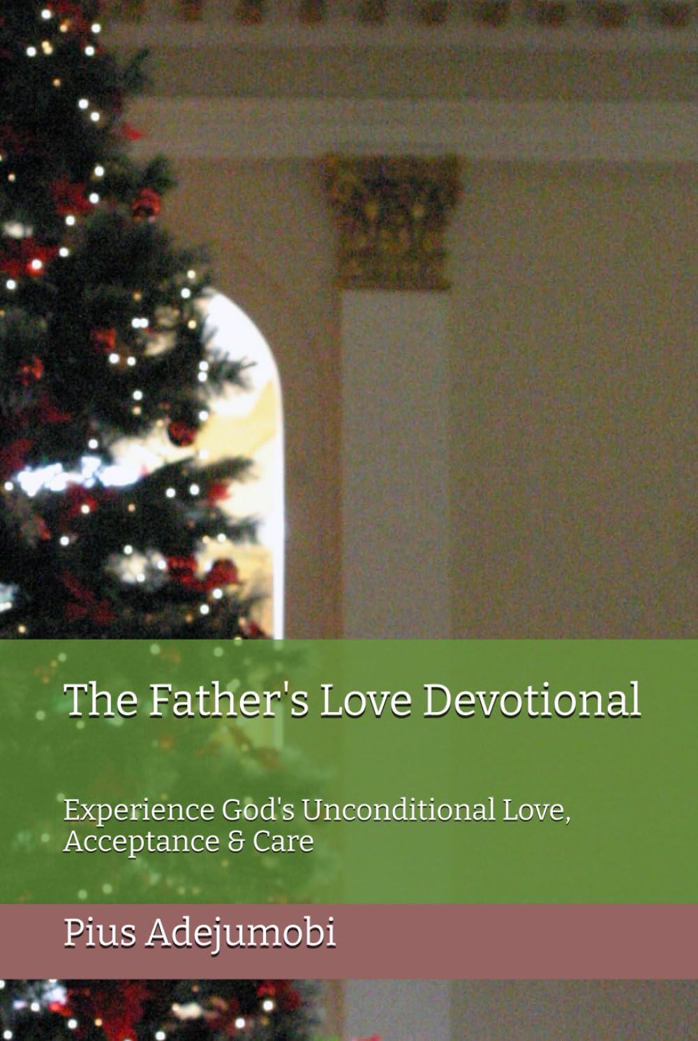 The Father's Love Devotional: Experience God's Unconditional Love, Acceptance & Care