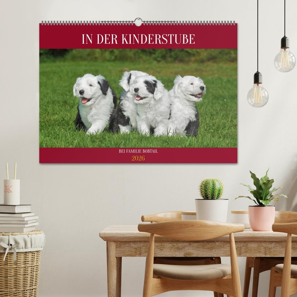 In der Kinderstube bei Familie Bobtail (Wandkalender 2026 DIN A2 quer), CALVENDO Monatskalender: Einblicke in die Bobtail-Kinderstube auf 12 bezaubernden Bildern (CALVENDO Tiere)