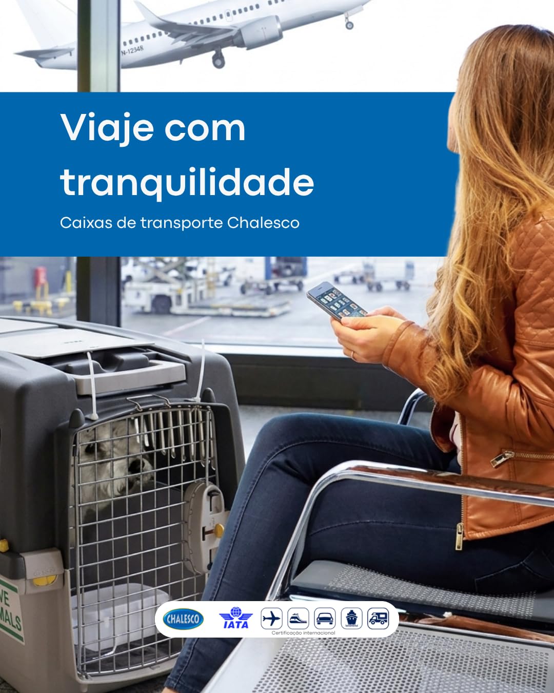 TRASPORTINO GULLIVER IATA 4 cm.71x51x50h. 10410