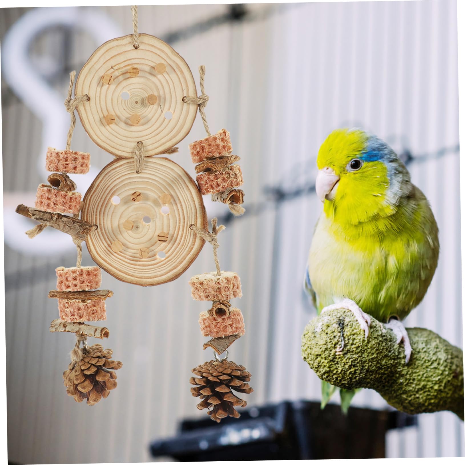 BESPORTBLE 5pièces Jouet Suspendu pour Oiseaux à Mordre Accessoire De Cage pour Perroquets Et Perruches Jouet Éducatif Matériau Naturel pour Et Amuser Vos Oiseaux