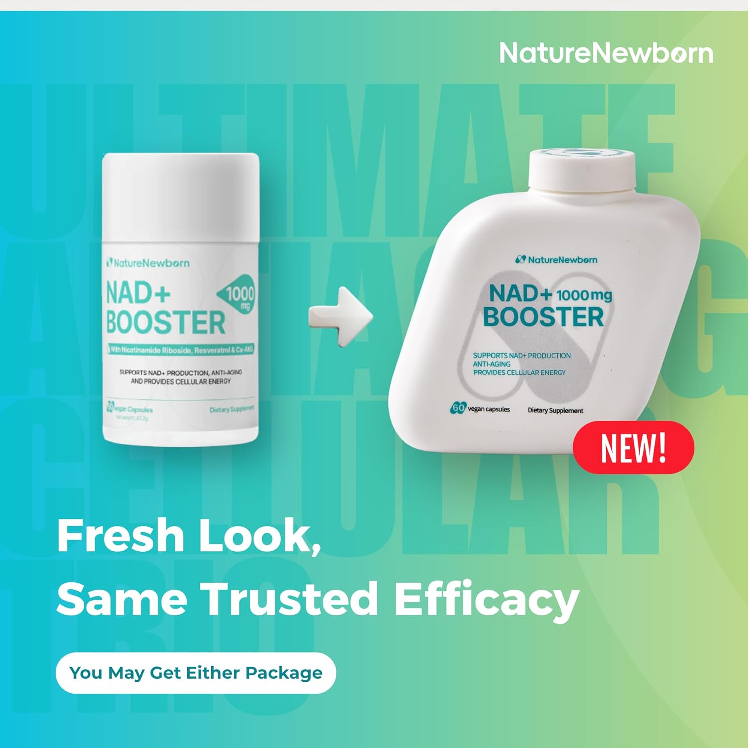 NR1000 NAD+ Supplement – NMN Supplement Alternative,-Energy & Focus Support – Nicotinamide Riboside + Resveratrol Formula – Vegan, Non-GMO, Premium Quality – 60 Capsules - Image 2