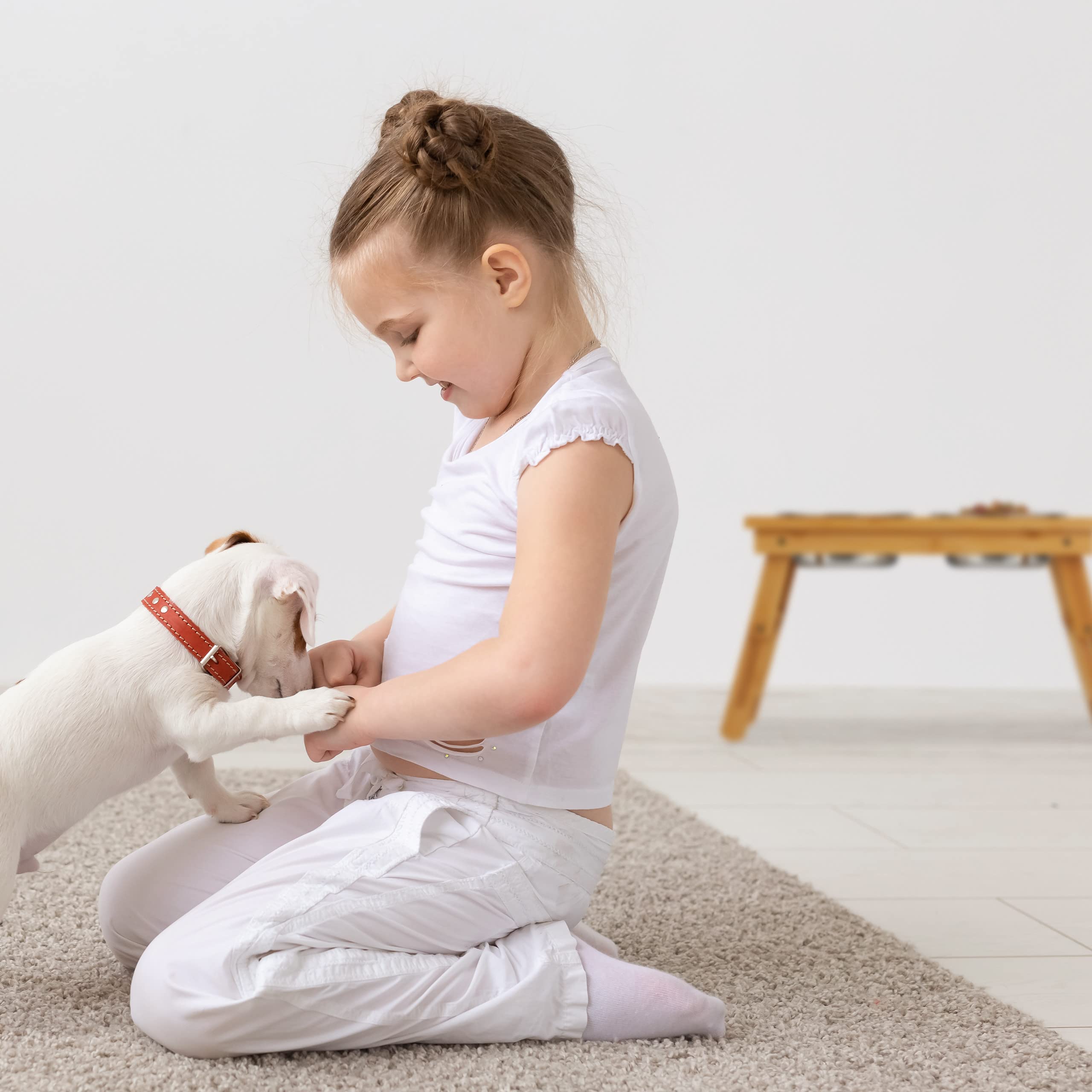 relaxdays Ciotole Rialzate, per Cani di Media Taglia, Acqua & Cibo, Regolabile & Pieghevole, 31x70x23 cm, Legno Naturale