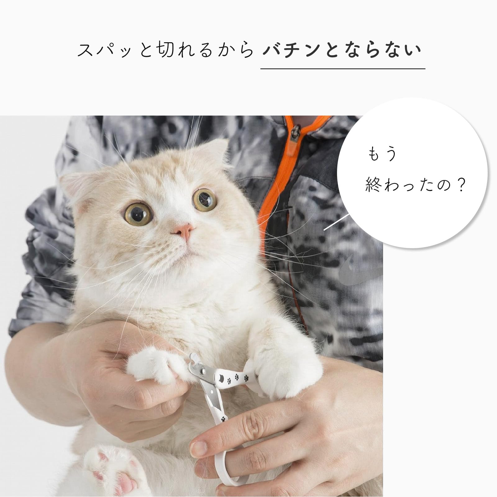 Amazon | 猫壱(necoichi) ストレスなくスパッと切れる猫用爪切り 合金 