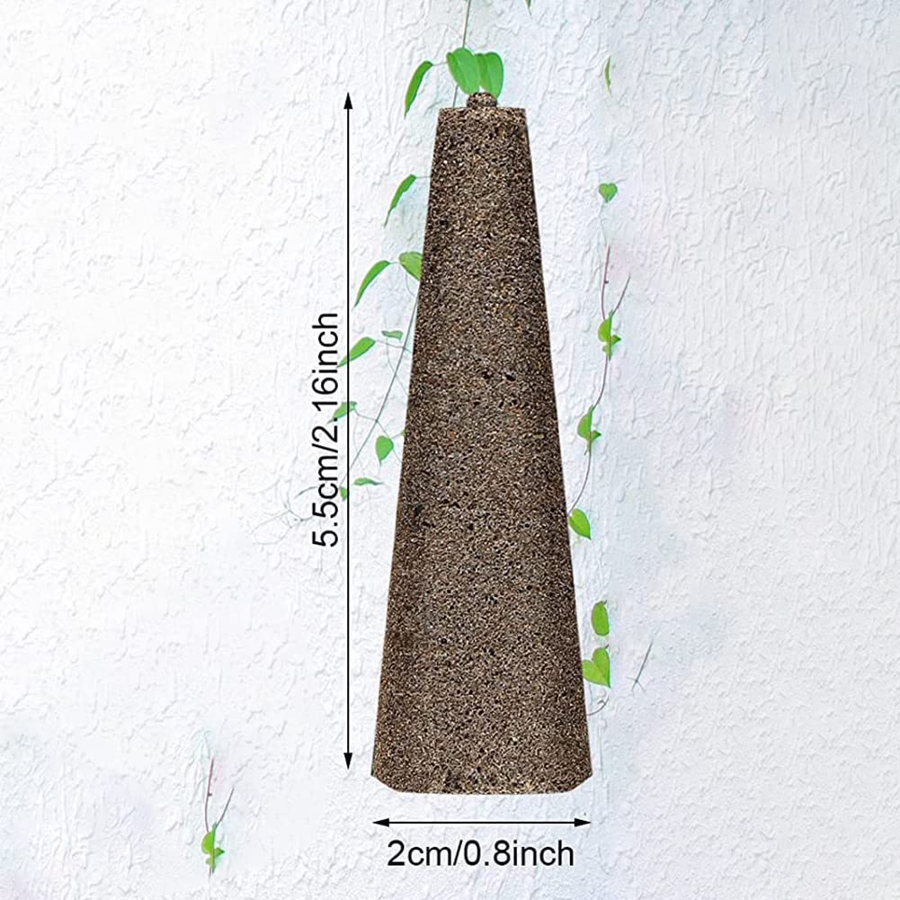 50 Grow Sponzen Zaailing Starter Plugs - Groeiende Medium Starter Hydrocultuur Zaad Groeien Sponzen voor Stekken, Kloonen, Plantenvoortplanting en Zaad Beginnen