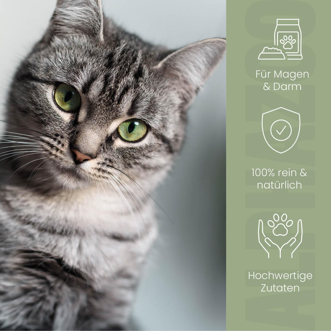 alphazoo Pupsbremse Huile alimentaire gastro-intestinale pour chat 250 ml – Favorise la digestion et l'appétit, avec huile de graines de citrouille et huile de lin – Complément alimentaire naturel