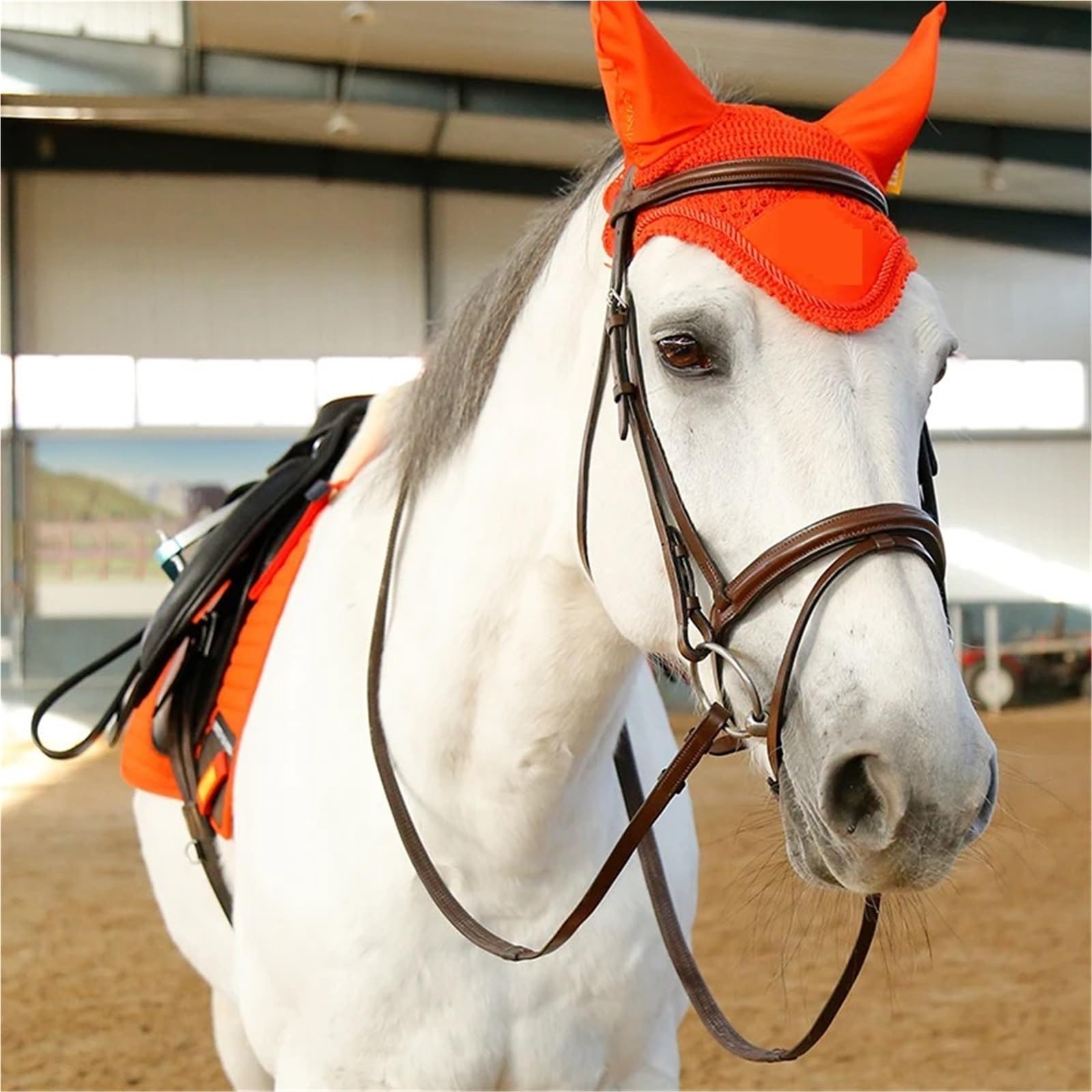 Riendas Color del Negro del Cuero del Freno de los Equipos ecuestres del Caballo de Montar con Las riendas de Goma