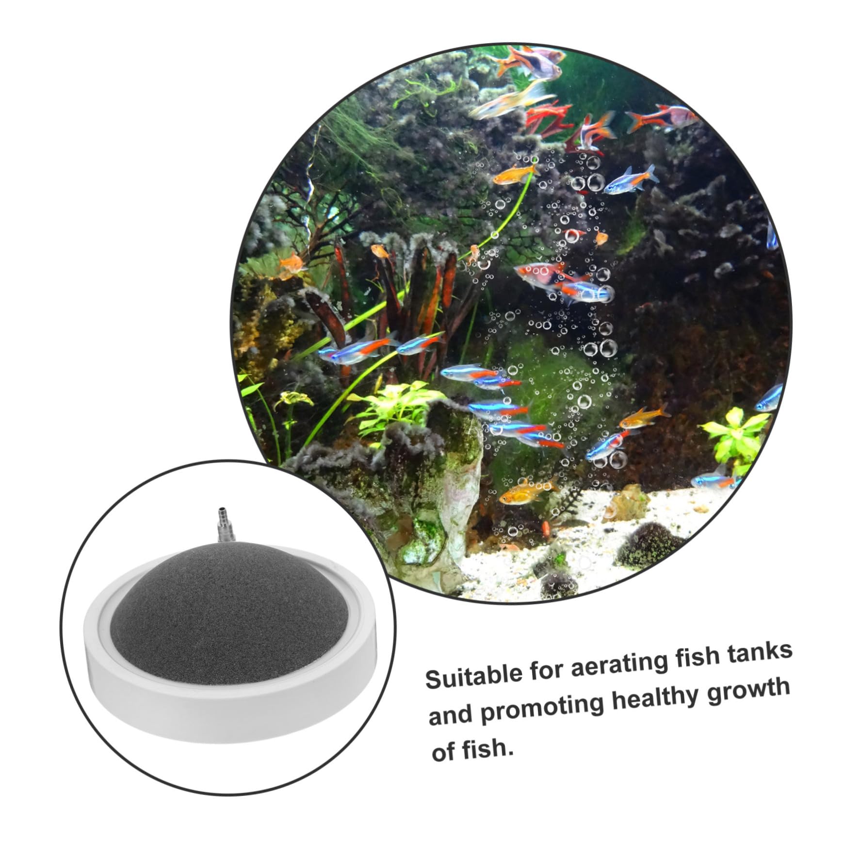 Toddmomy Piedra Difusora de Aire Pequeña para Peceras Piedra Difusora de Burbujas de 150 Mm Juego de Burbujas para Acuario para El Hogar Y La Oficina