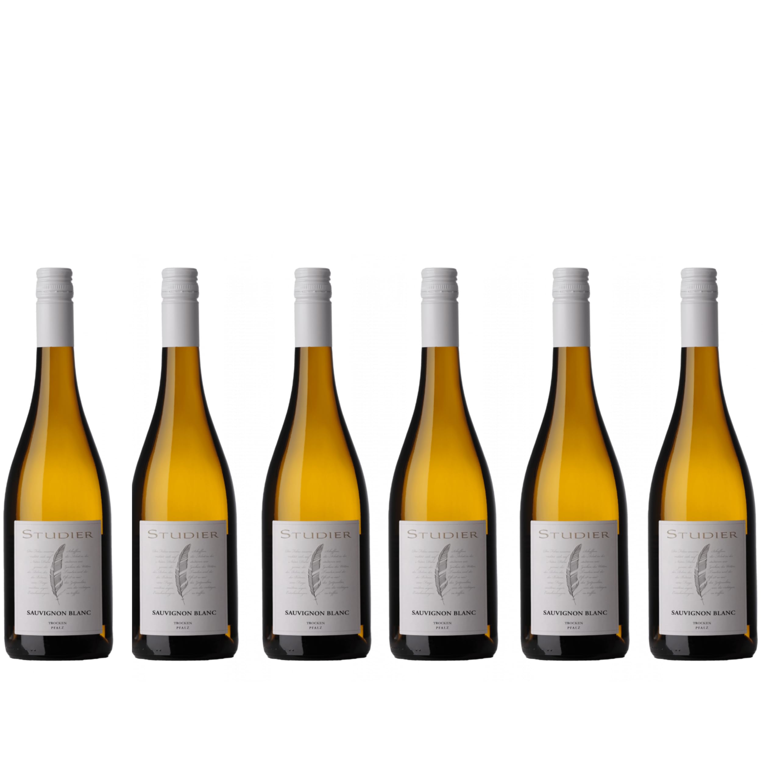 Sauvignon Blanc 2025 | Weingut Studier | trocken | Pfalz | 6 x 0,75l