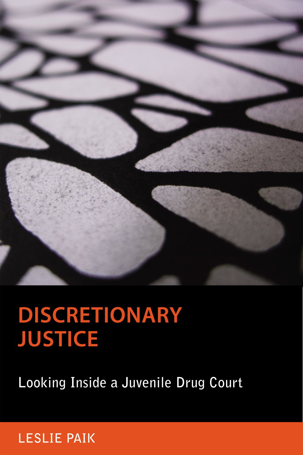 Buy Discretionary Justice: Looking Inside a Juvenile Drug Court (Critical Issues in Crime and Society) — BookShops.in