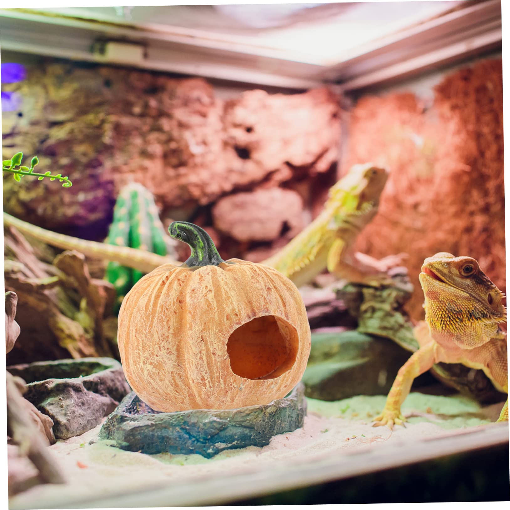 POPETPOP 2stücke Aquarium Dekoration Kürbis Für Fischbecken Attraktives Landschaftsaccessoire Und Versteck Für Fische Und Garnelen Für Terrarien Und Aquariengestaltung