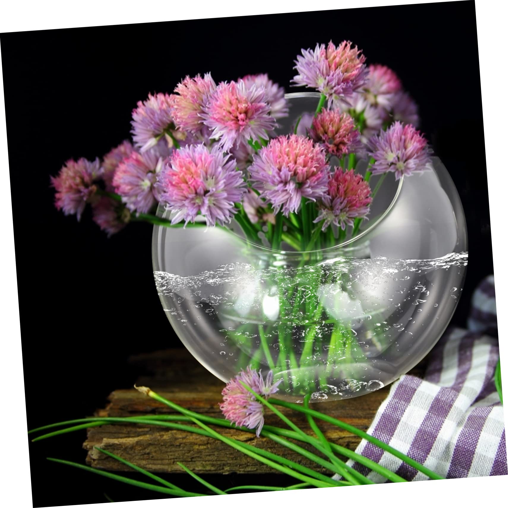 Toddmomy Terrarium in Vetro Trasparente a Bocca Obliqua, Vaso Decorativo Fai-da-te per Piante Grasse e Bromelie, Elegante per Matrimoni e Compleanni