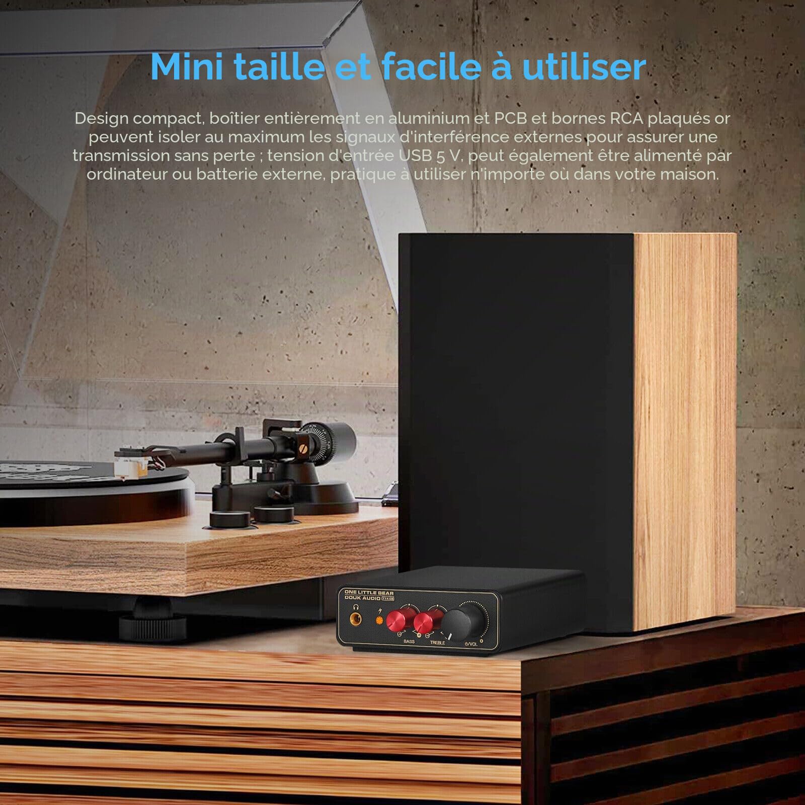 HiFi MM/MC RIAA Préamplificateur phono LP vinyle Turntable Preamp Mini amplificateur de casque (T14-EQ)