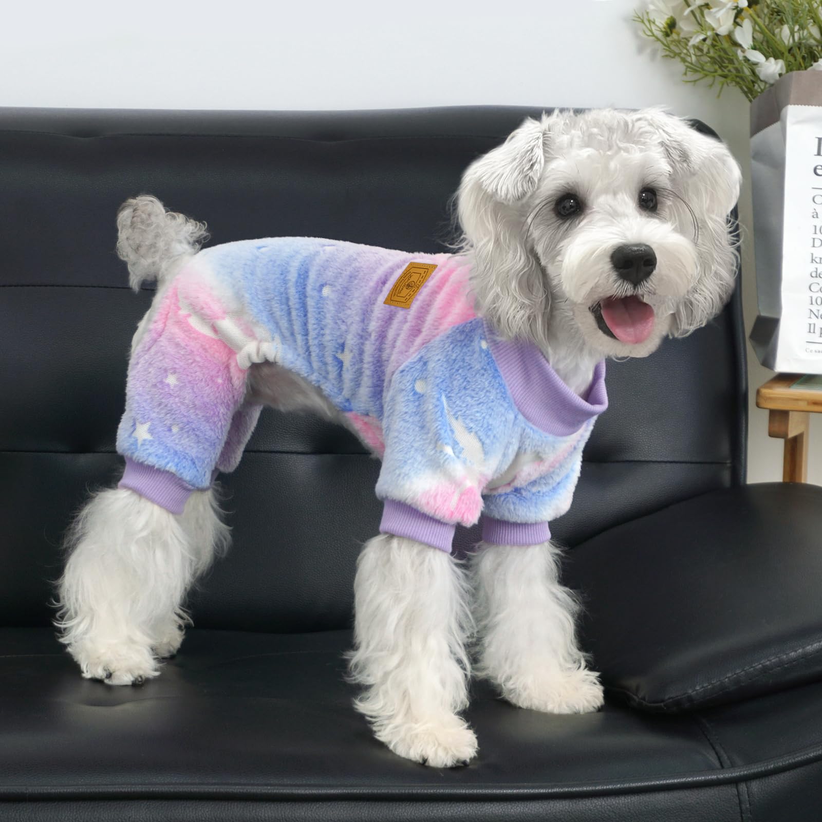 XPUDAC Hundepullover, leuchtet im Dunkeln, Fleece-Schlafanzug für kleine, mittelgroße Hunde, Mädchen, Jungen, Welpen, Kleidung für Halloween, Weihnachten, Winter (Größe S)