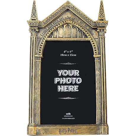 Grupo Erik Harry Potter The Mirror Of Erised Picture Frame