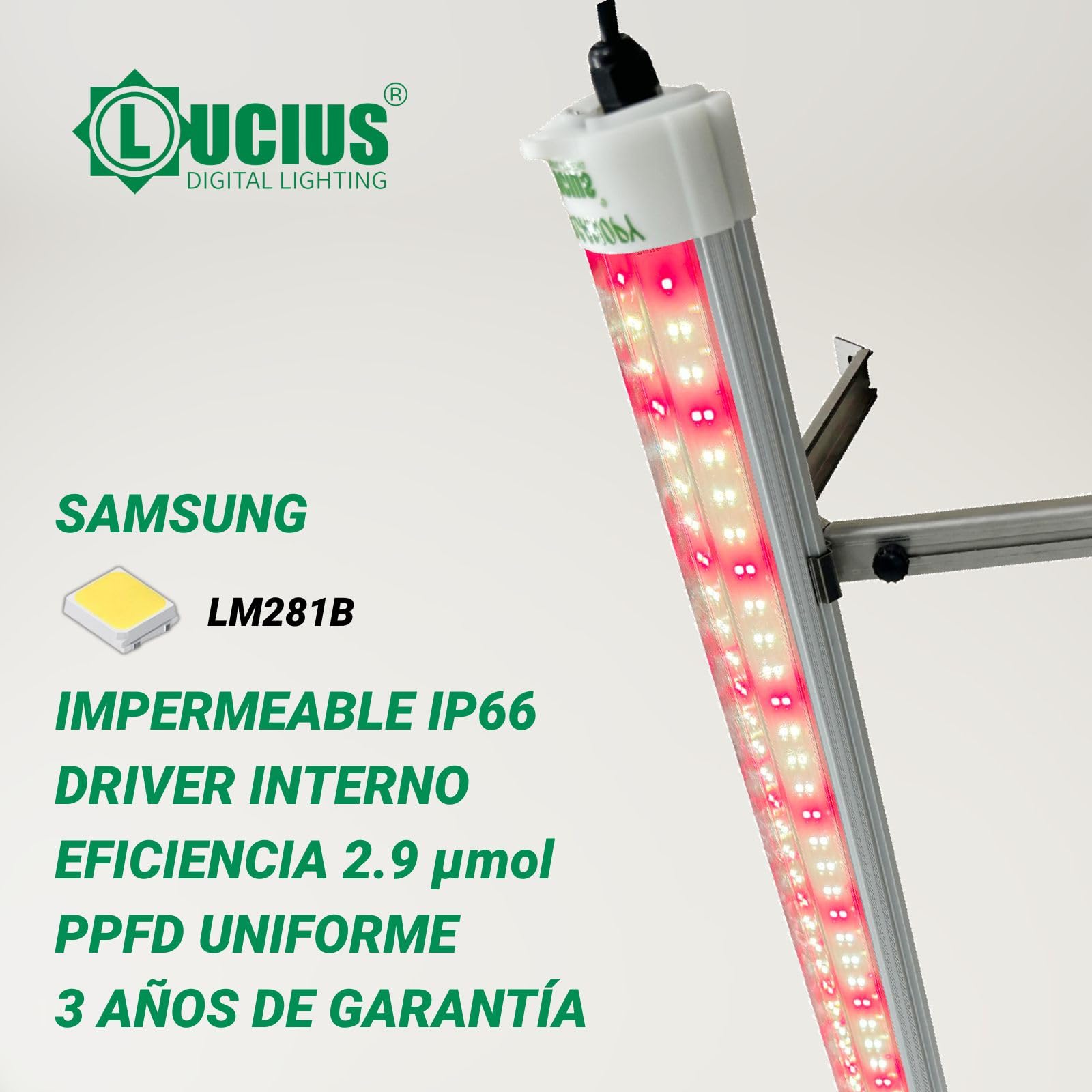 LUCIUS LED Under Canopy 120W - Uprawa wewnętrzna i szklarnia - oświetlenie dolne dla roślin, warzyw i kwiatów - wysoka wydajność, niskie zużycie energii - większa wydajność i jakość na niższych