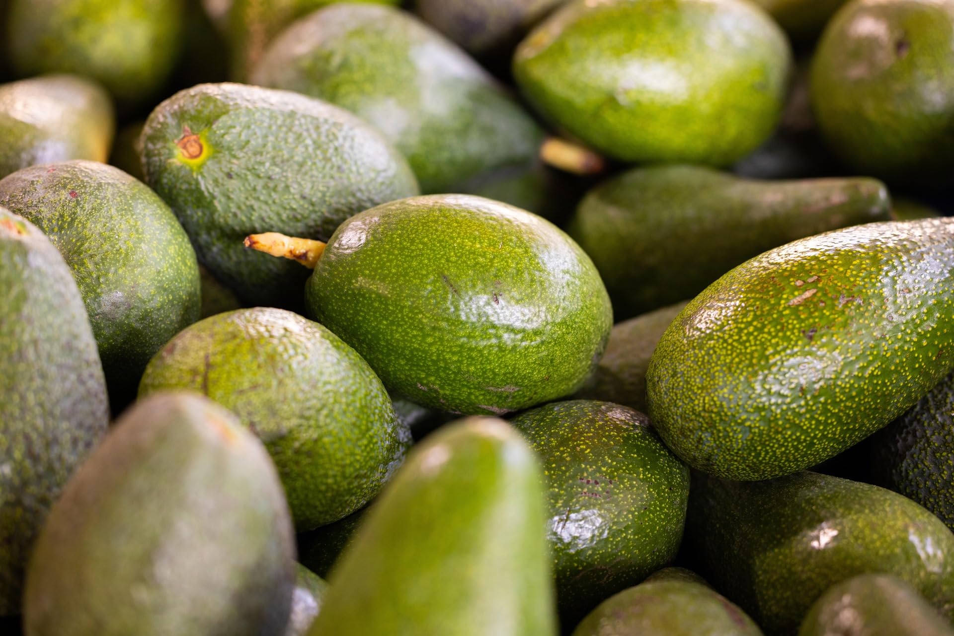 Aceite de Aguacate 100% Puro 1 L | Prensado en Frío, Alto Punto de Humo | Perfecto para Freír, Cocinar, Asar, Ensaladas, Dieta Keto, Repostería y Cocina Saludable